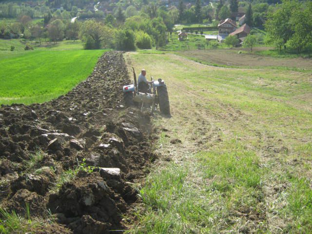 Oranje 2012 - foto povečava