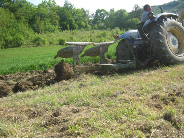 Oranje 2012 - foto