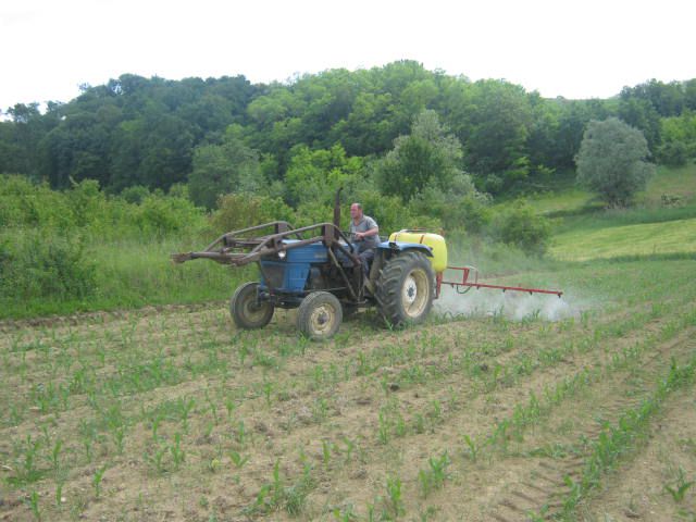 Prskanje kukuruza 2012 - foto