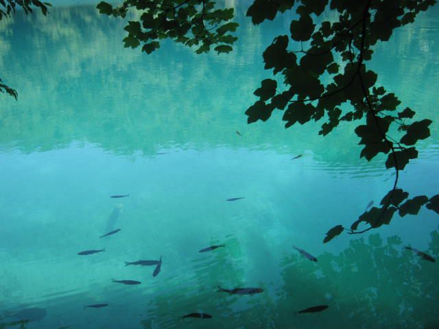 Plitvička jezera 2012 (izlet 15.6.2012) - foto