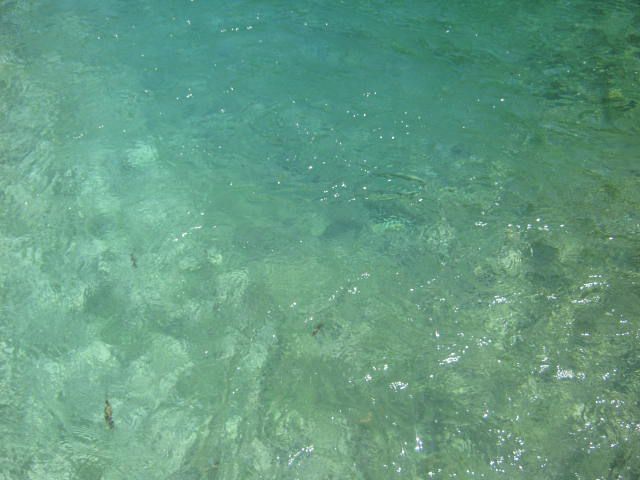 Plitvička jezera 2012 (izlet 15.6.2012) - foto