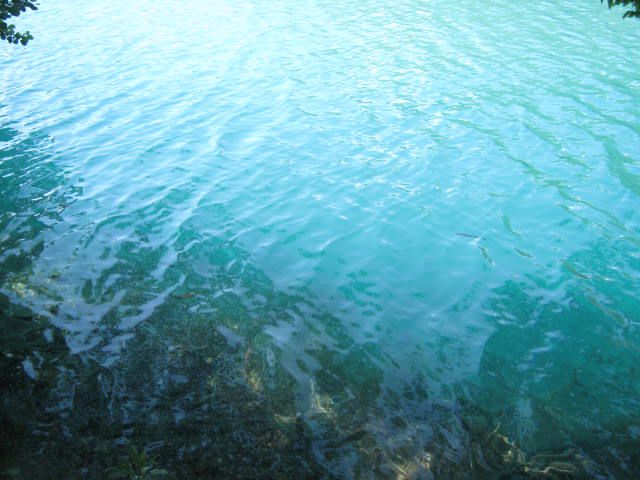 Plitvička jezera 2012 (izlet 15.6.2012) - foto povečava