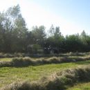 sijeno 2012