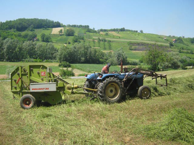 Sijenaža dijeteline 2012 - foto povečava