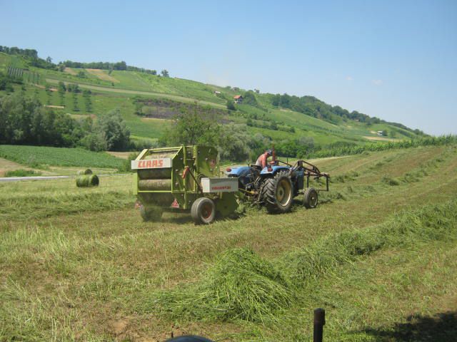 Sijenaža dijeteline 2012 - foto