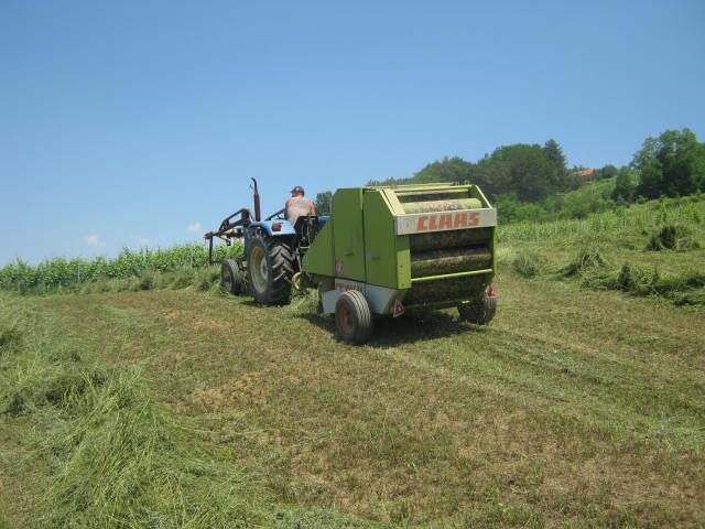 Sijenaža dijeteline 2012 - foto povečava