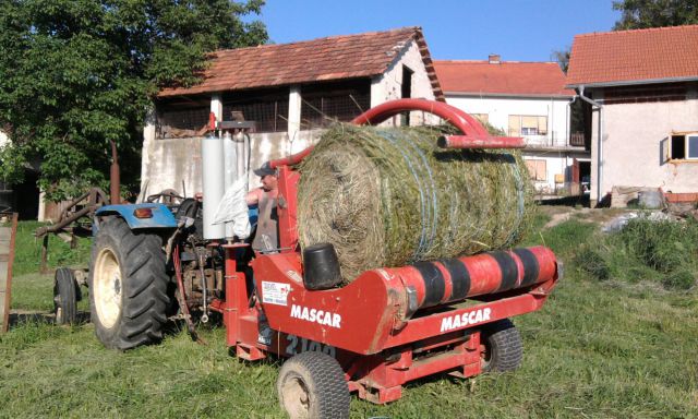 Sijenaža dijeteline 2012 - foto