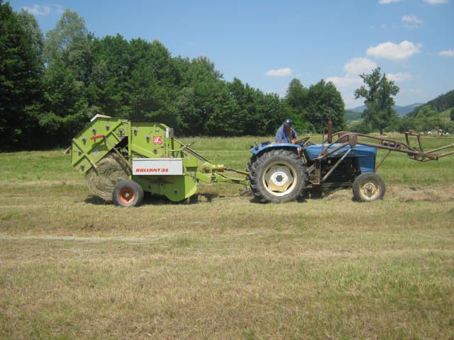 Seno 2012 - foto povečava