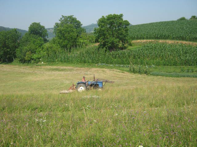 1.košnja 2012 - foto