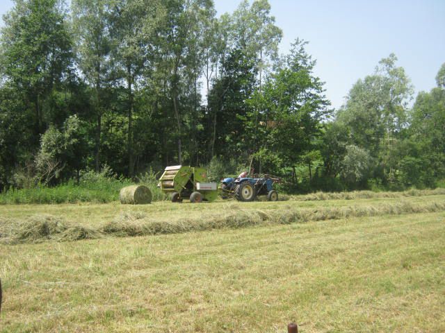 Spremanje sijena - foto povečava