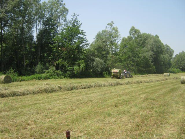 Spremanje sijena - foto povečava