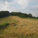 žetva ječma 2012