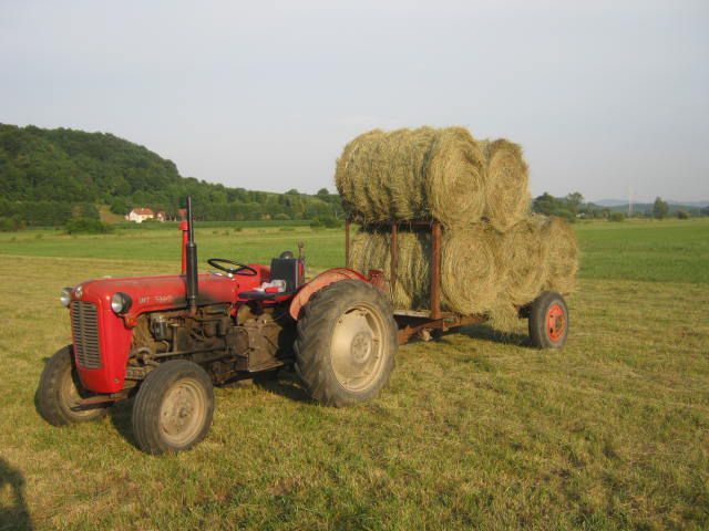 Sijeno2012 - foto povečava