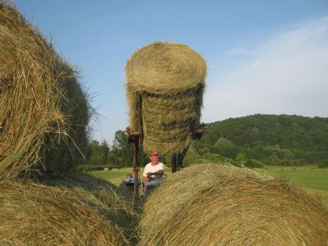 Sijeno2012 - foto povečava