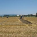 natjecanje orača 2012