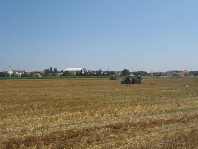 Natjecanje orača 2012 - foto povečava