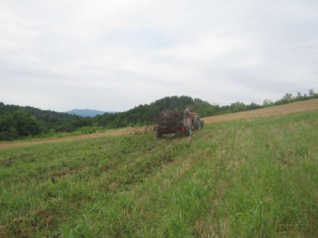 Vožnja gnoja 2012 - foto povečava