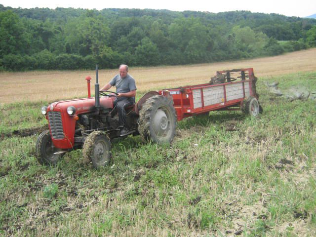 Vožnja gnoja 2012 - foto