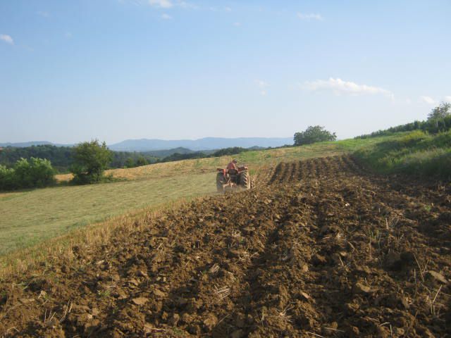 Ljetna brazda oranje 2012 - foto