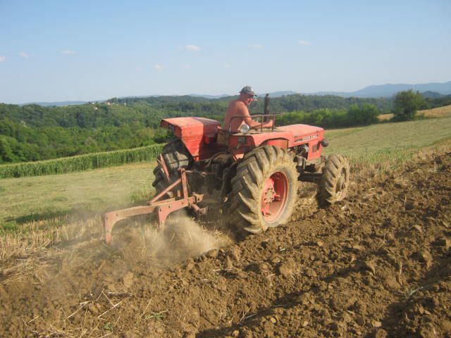 Ljetna brazda oranje 2012 - foto