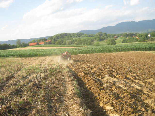 Ljetna brazda oranje 2012 - foto