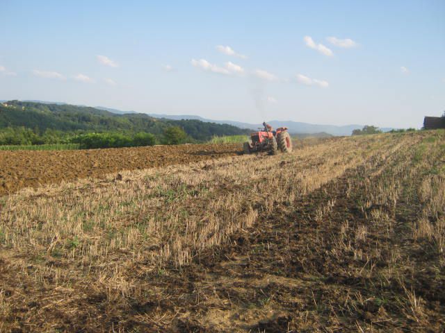 Ljetna brazda oranje 2012 - foto