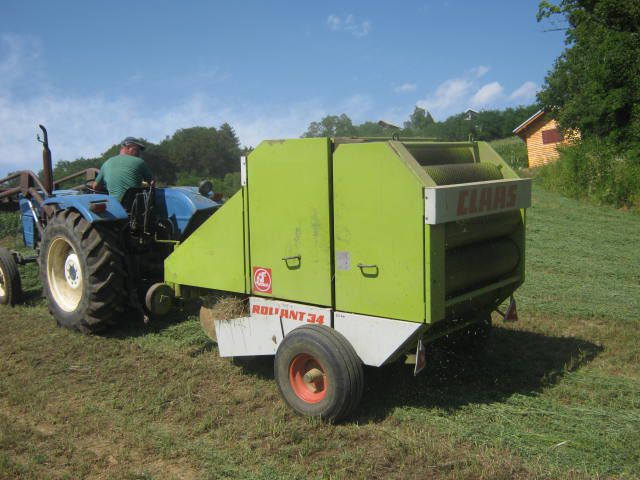 Dijetelina sijenaža 2012 3 otkos - foto povečava