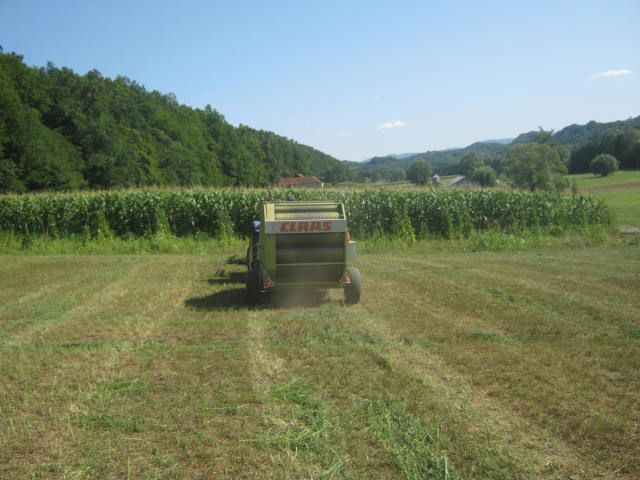 Dijetelina sijenaža 2012 3 otkos - foto povečava