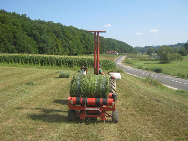 Dijetelina sijenaža 2012 3 otkos - foto povečava