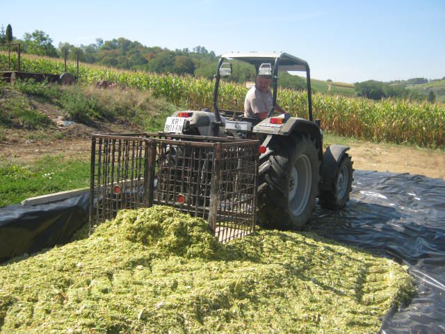 Silaža 2012 - foto povečava