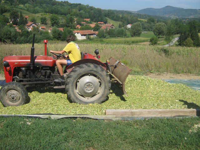 Silaža 2012 - foto povečava