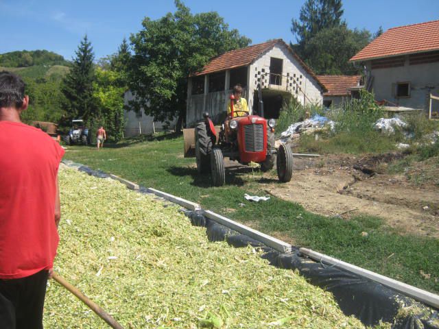 Silaža 2012 - foto