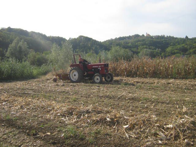 Spremanje kukuruzovine  2012 - foto povečava