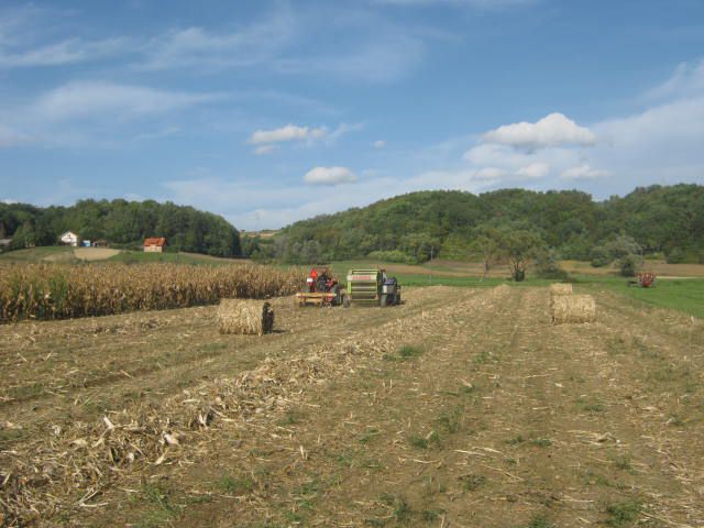 Spremanje kukuruzovine  2012 - foto