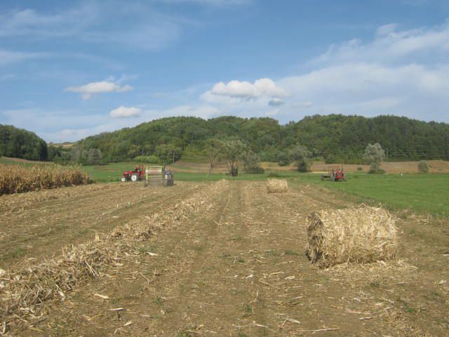 Spremanje kukuruzovine  2012 - foto povečava