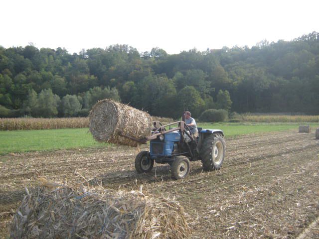 Spremanje kukuruzovine  2012 - foto