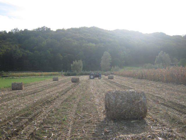 Spremanje kukuruzovine  2012 - foto