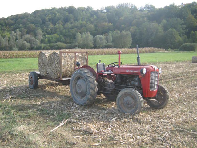 Spremanje kukuruzovine  2012 - foto povečava