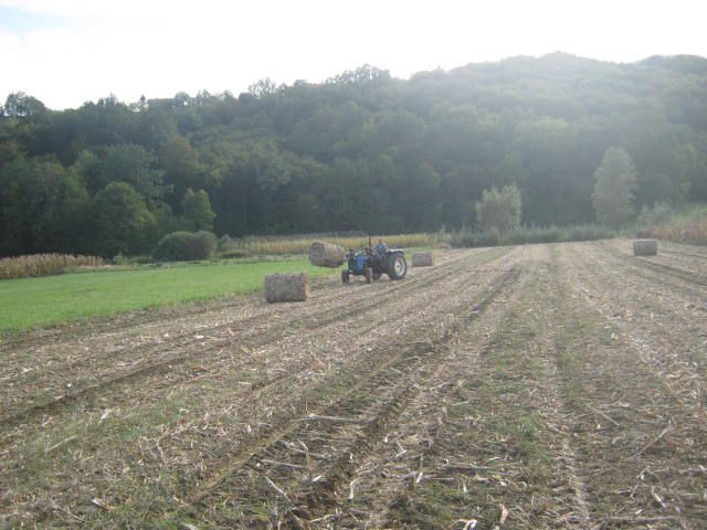 Spremanje kukuruzovine  2012 - foto povečava