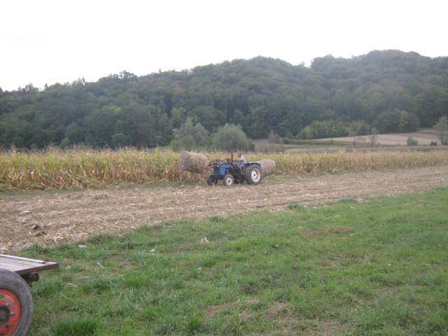 Spremanje kukuruzovine  2012 - foto povečava