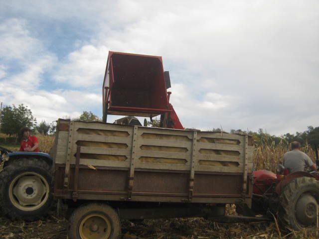 Berba kukuruza 2012 - foto povečava