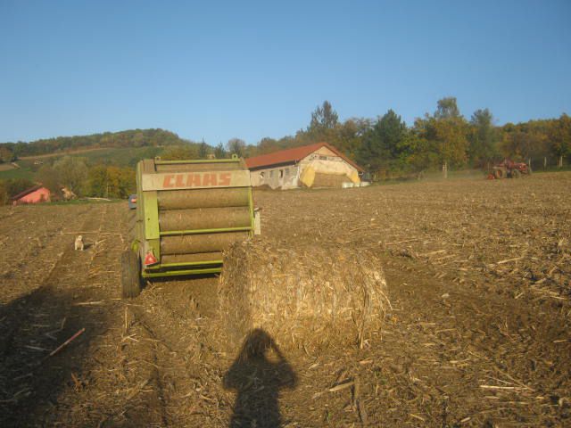Kukuruzovina 2012 - foto