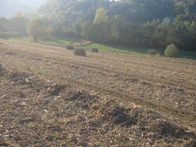 Kukuruzovina 2012 - foto povečava