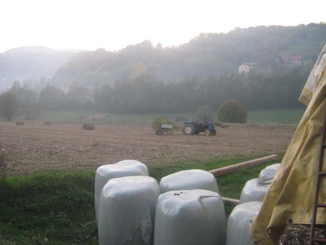 Kukuruzovina 2012 - foto povečava