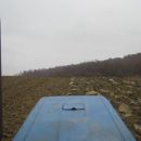 sijetva raži 2012 