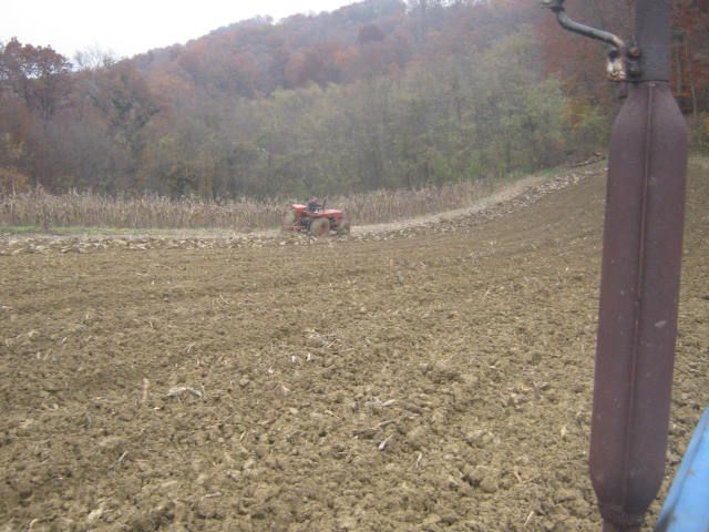 Sijetva raži 2012  - foto povečava