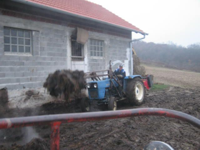 Vožnja gnoja jesen 2012 - foto povečava