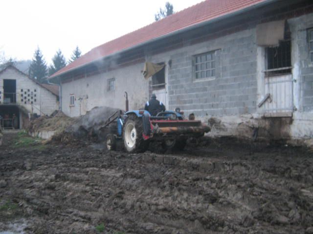 Vožnja gnoja jesen 2012 - foto povečava