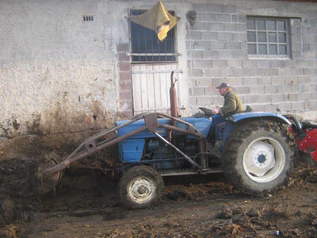 Vožnja gnoja jesen 2012 - foto