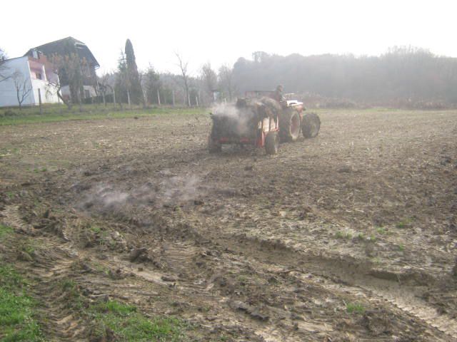 Vožnja gnoja jesen 2012 - foto